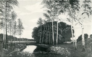 Image description is not available for PHO-4-W689-1331